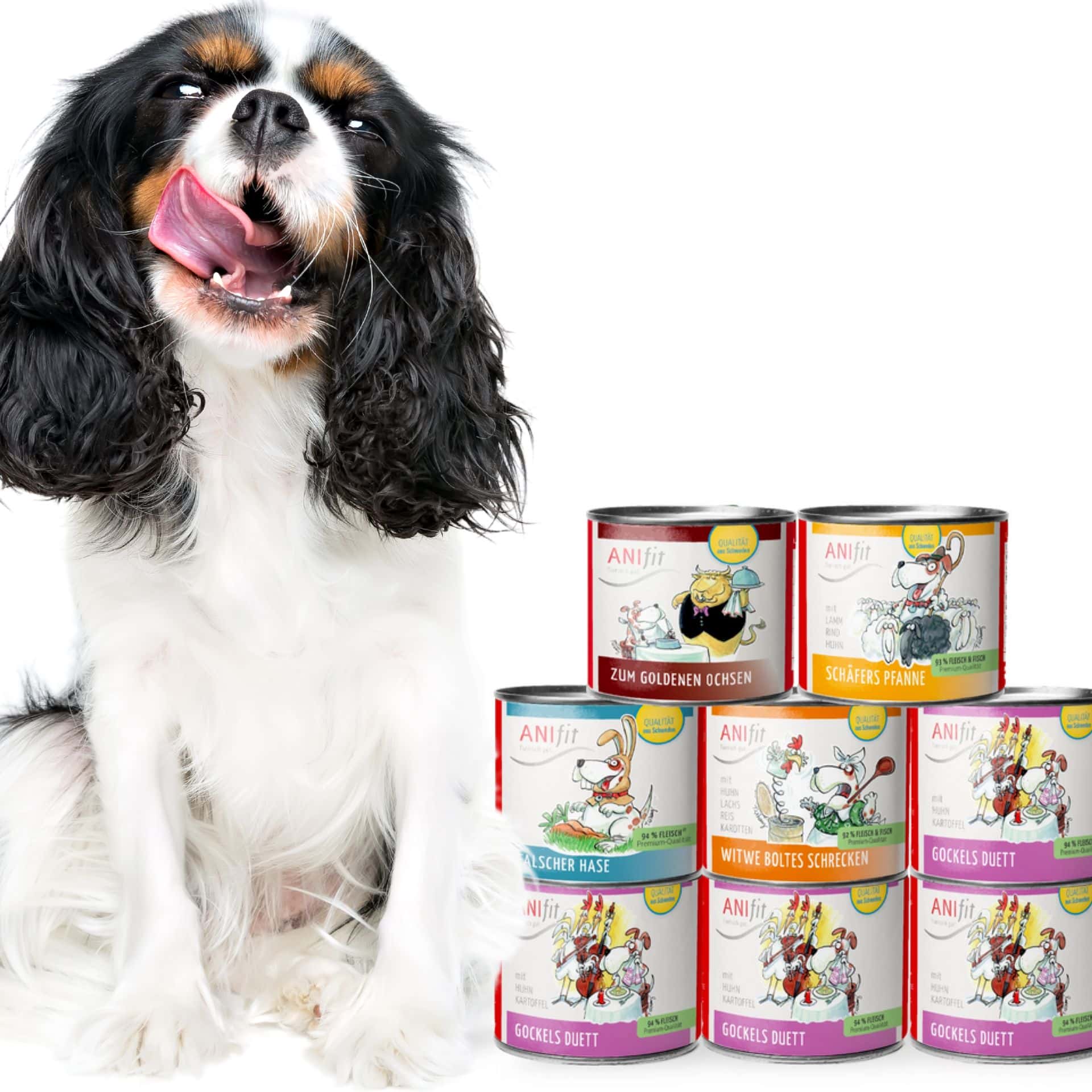 ANIfit Schnupperpaket Hunde Nassfutter 200g